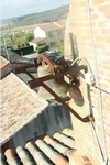 petite-cloche-de-leglise